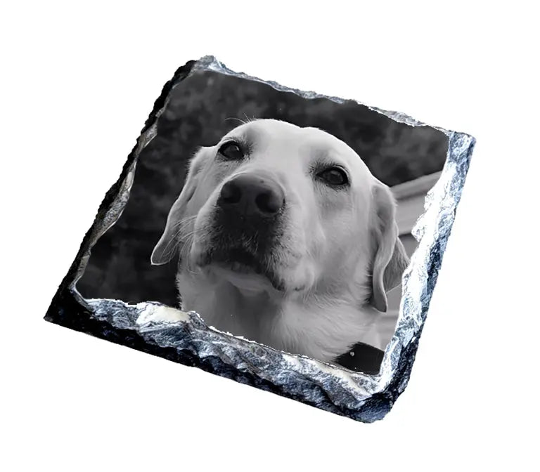 Custom Slate Coasters: Elevate Your Everyday Moments Print Wizard