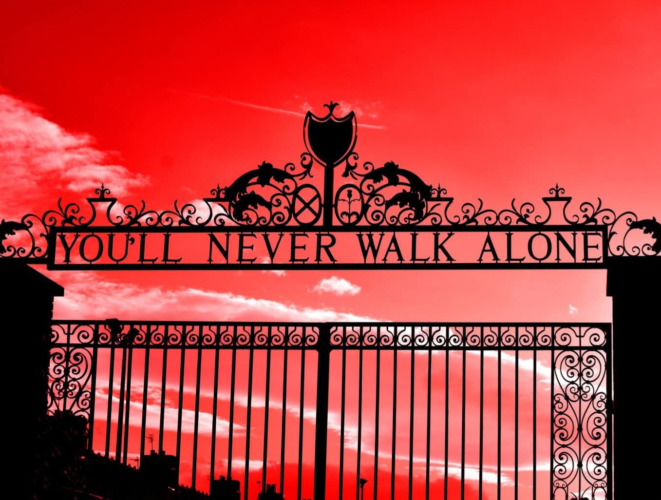 LIVERPOOL CANVAS 16X12 OFFER Print Wizard